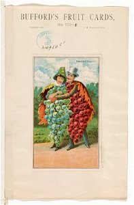 Bufford's fruit cards, no. 779-5 (grapes) - Bufford. LCCN2013646759