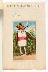 Bufford's vegetable cards, no. 790-5 (tobacco) - Bufford. LCCN2013646765