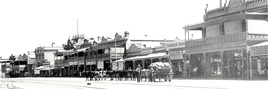 Bullock wagon in Ellen Street, Port Pirie, 1906 (SLSA PRG-280-1-1-322). Free illustration for personal and commercial use.