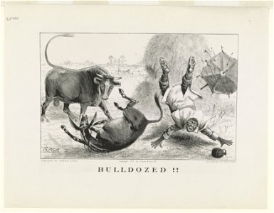 Bulldozed!! LCCN90714086