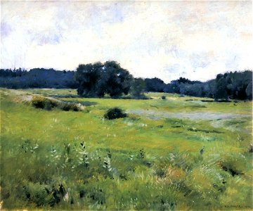 Dennis Miller Bunker - Meadow Lands
