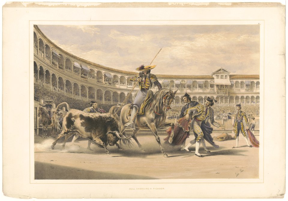 Bull charging a picador LCCN2003674542