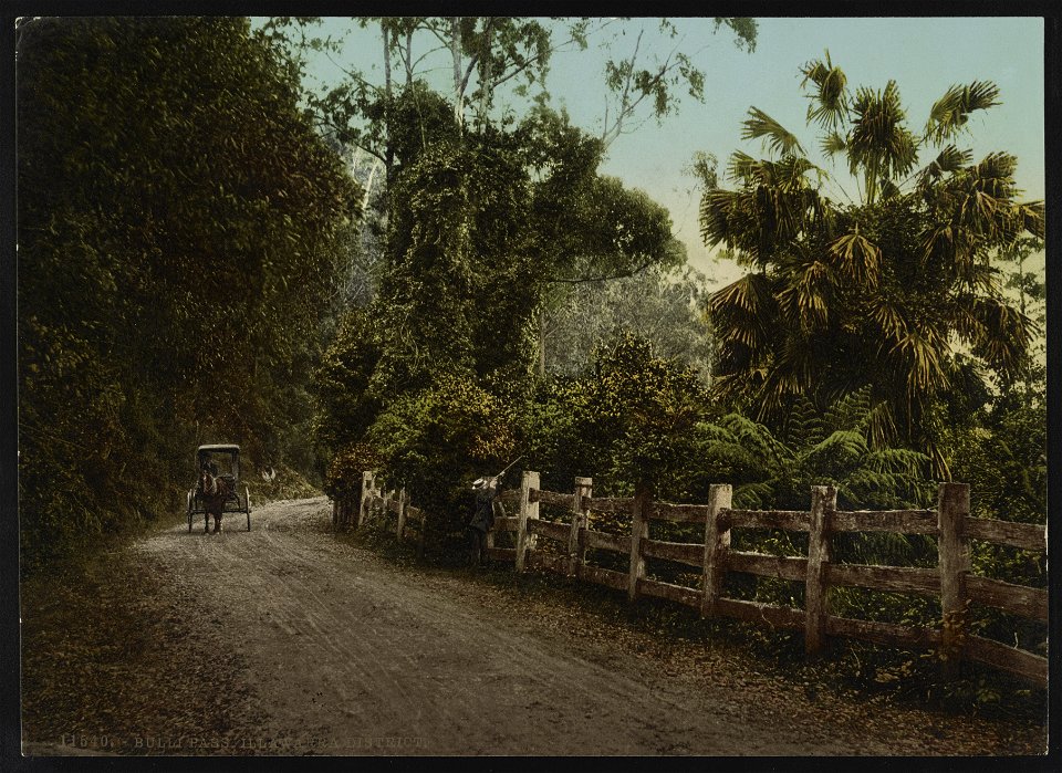 Bulli Pass. Illawarra District LCCN2017657725