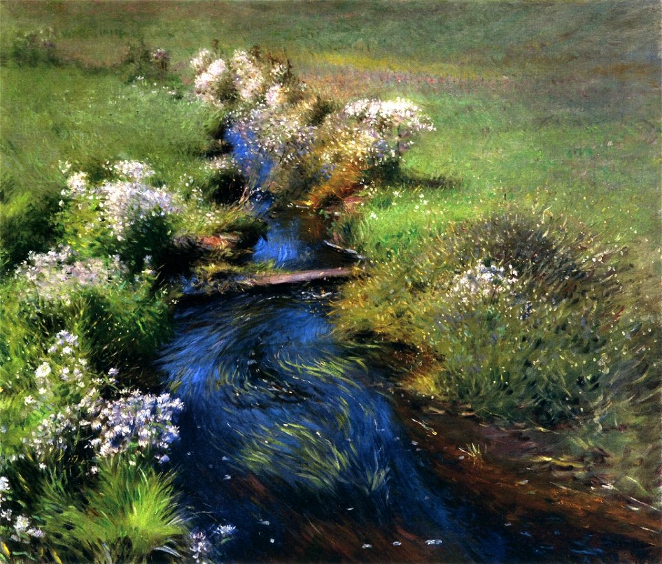 Dennis Miller Bunker - Wild Asters