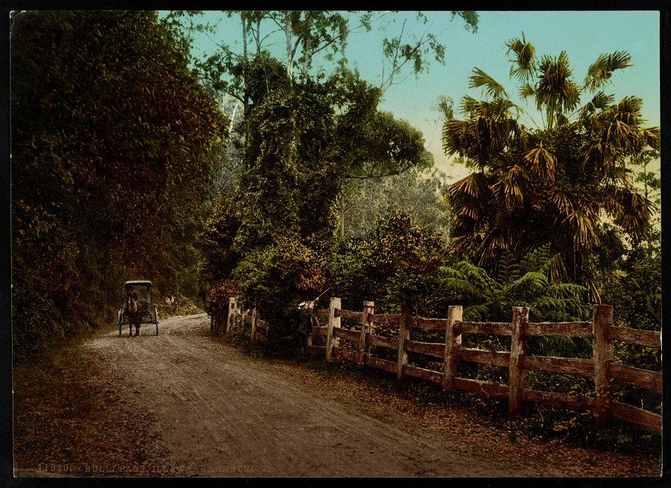Bulli Pass. Illawarra District LCCN2017657725