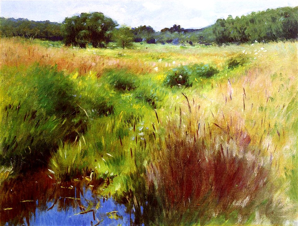 Dennis Miller Bunker - Marshland, Medfield