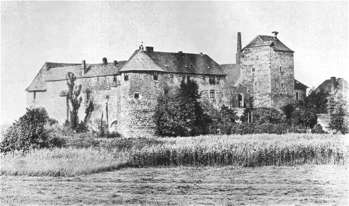 Burg Neuhaus Wolfsburg vor 1896