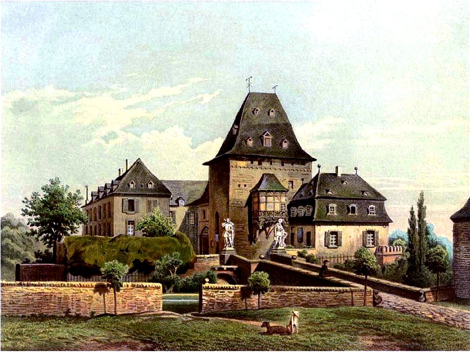 Burgauduncker