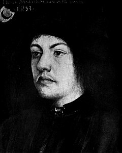 Hans Burgkmair (I) - Bildnis Martin Schongauer (Kopie)