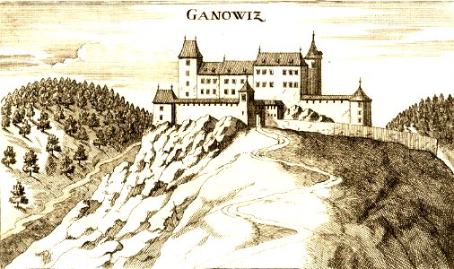 BurgGonobitz1680