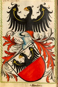 Burggraf-Scheibler182ps