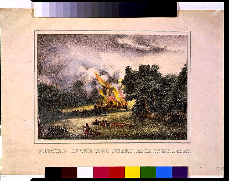 Burning of the town Pilak-li-ka-ha by Gen. Eustis LCCN2016647152