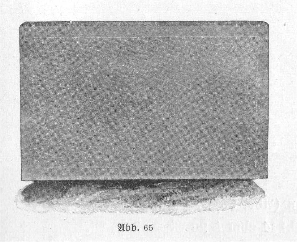 Burrer 1911, Abb. 065