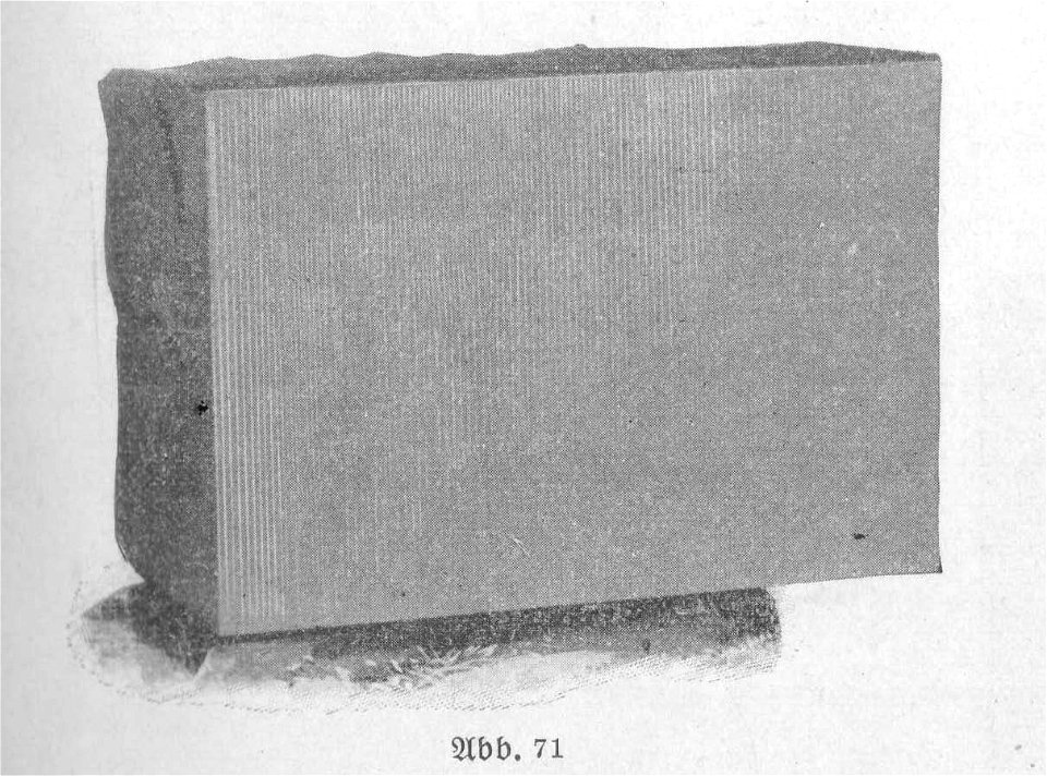 Burrer 1911, Abb. 071