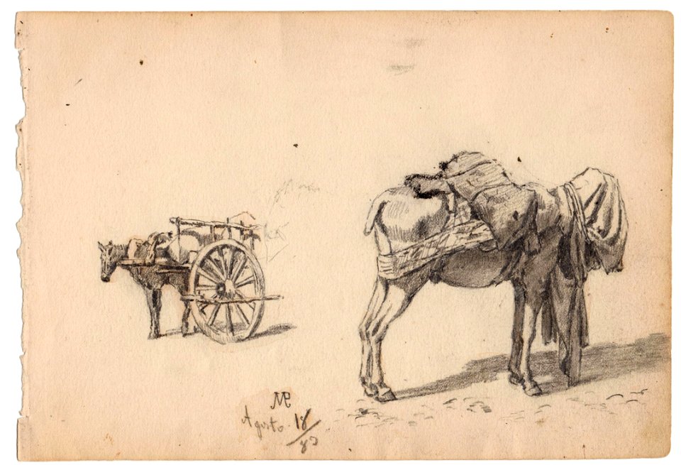 Burros cargados, Aug. 18th 1889, by Mariano Pedrero