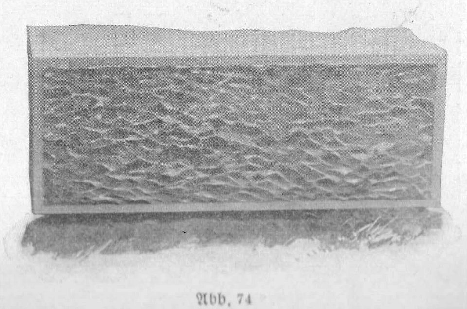Burrer 1911, Abb. 074