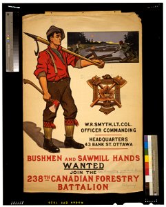 Bushmen and sawmill hands wanted. Join the 238th Canadian Forestry Battalion LCCN2005695769
