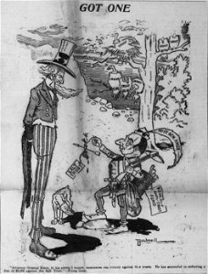 Bushnell cartoon on Knox vs Salt