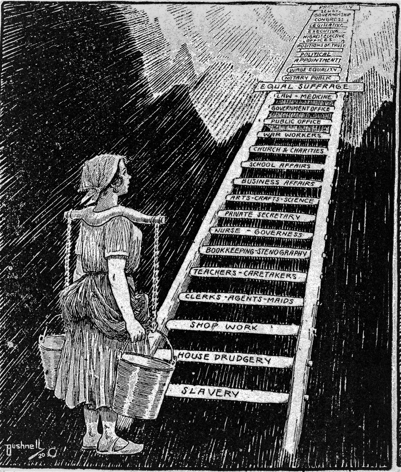 Bushnell cartoon about the ladder of opportunities available to women