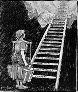 Bushnell cartoon about the ladder of opportunities available to women
