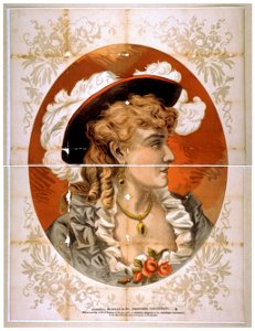 Bust view of woman, wearing plumed hat and gray dress LCCN2014637341
