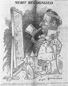 Bushnell cartoon about William Jennings Bryan examining his own reflection