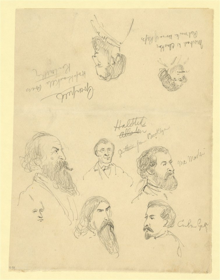 Bust portraits of eight men LCCN2004661112