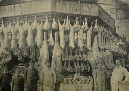 Butchers Jersey 1912