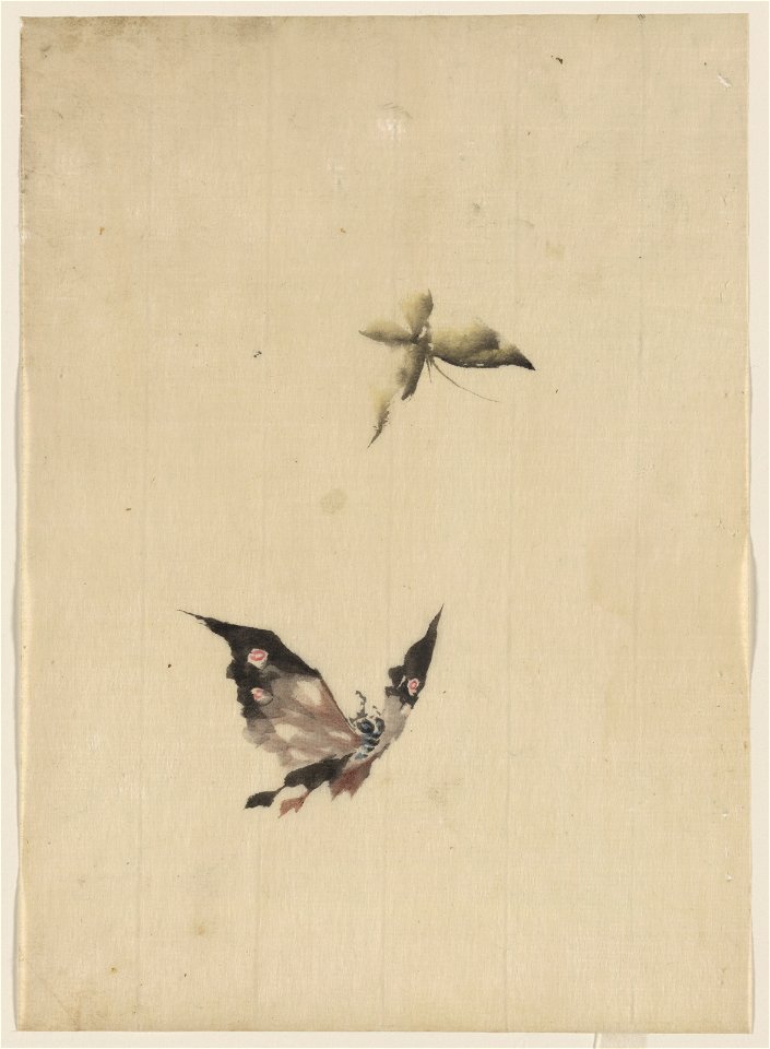 Butterfly and moth LCCN2009631956