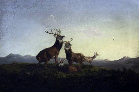 Byron Webb (1831-1867) (attributed to) - A Pair of Highland Stags Rutting - 533906 - National Trust