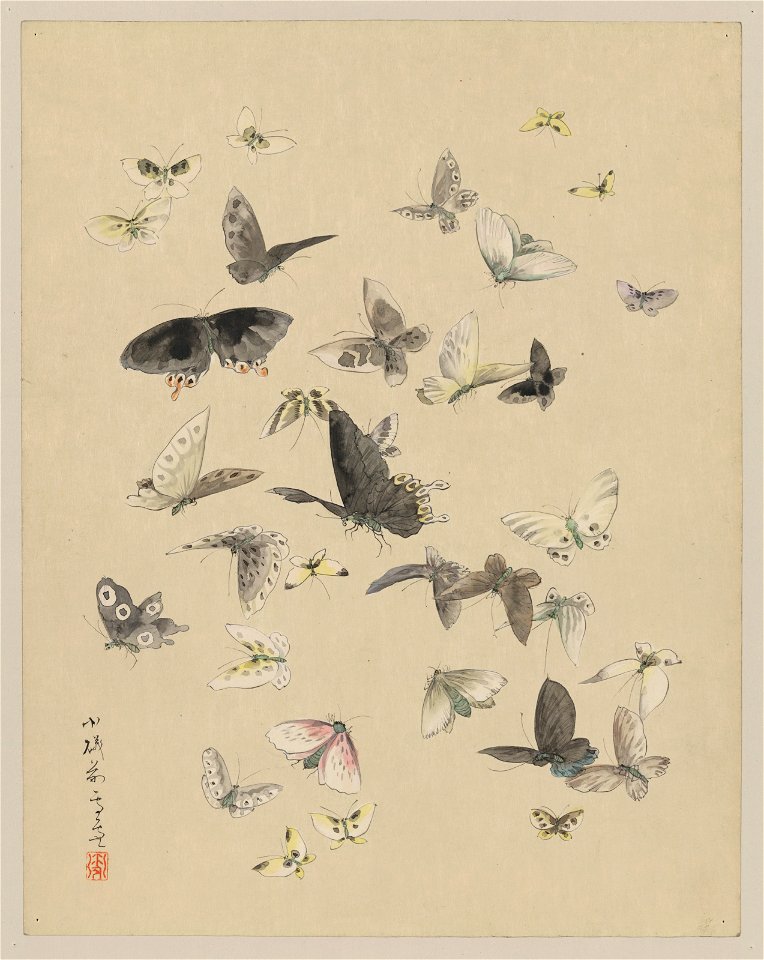 Butterflies and moths LCCN2009615292