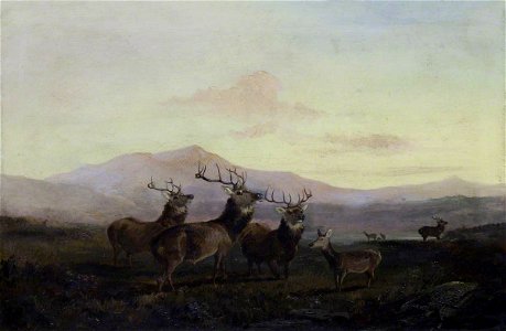 Byron Webb (1831-1867) - Three Stags with Does in the Highlands - 533908 - National Trust
