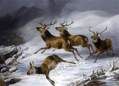 Byron Webb (1831-1867) - Five Stags Fleeing and a Dead Doe Lying in the Snow - 533909 - National Trust