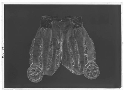 Byxor till Gustav IIIs burgundiska dräkt - Livrustkammaren - 26691-negative