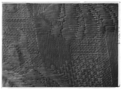Byxor till Karl XIs Strumpebandsordensdräkt, England 1669 - Livrustkammaren - 36113-negative