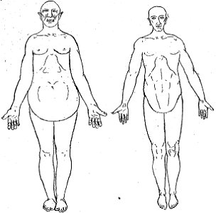 Bérillon - La psychologie de la race allemande, 1917 (page 19 crop)