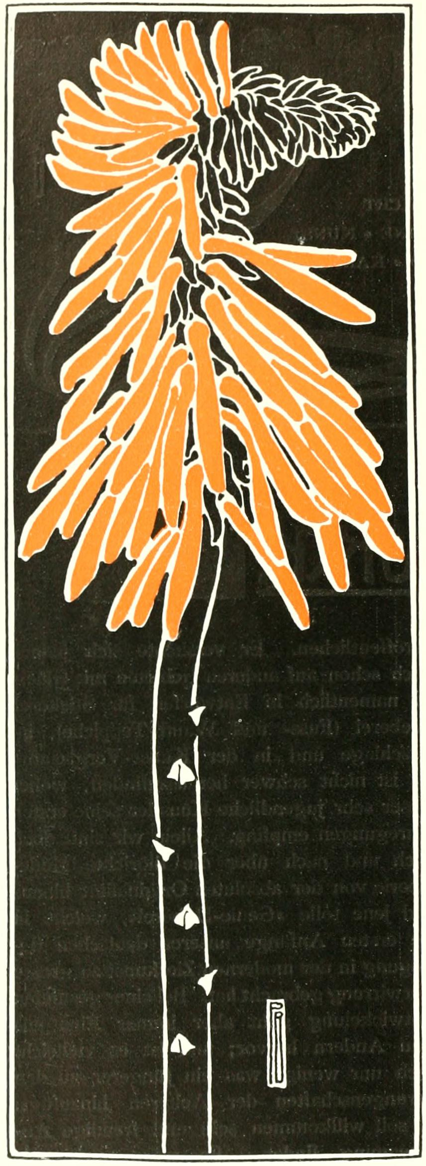 Bürck Buch-Schmuck