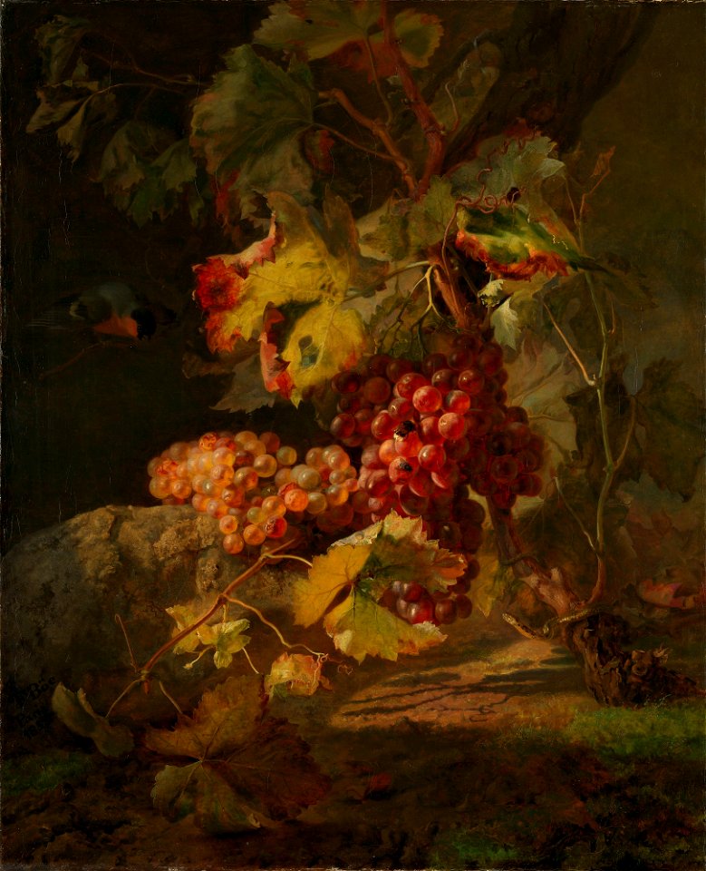 Frants Bøe - Still Life with Grapes - NG.M.00196 - National Museum of Art, Architecture and Design