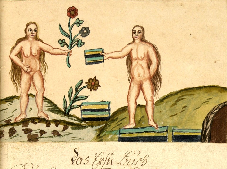 ClavisArtis.Ms-2-27.Hortis.V3.013