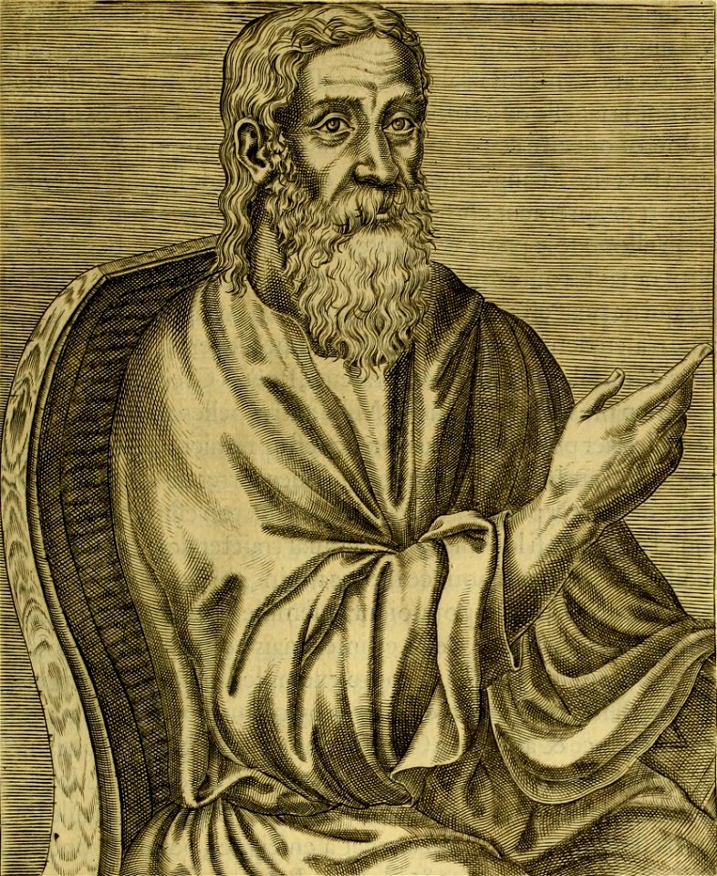 Clement alexandrin