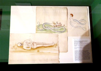 Clemens Ziegler-Von der Seligkeit aller Menschen Seelen