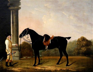 Clifton Tomson (1775-1828) - 'Sheepface', a Black Charger, with Stainsby the Groom - 290357 - National Trust
