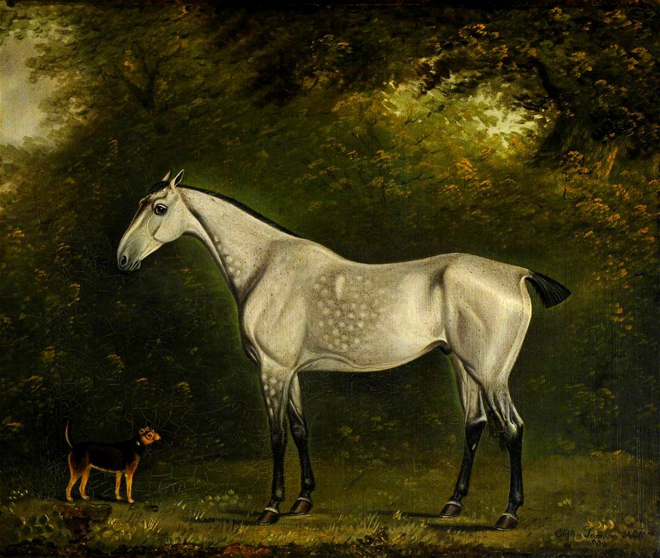 Clifton Tomson (1775-1828) - A Dappled Grey Hunter with a Terrier amongst the Trees - 290189 - National Trust