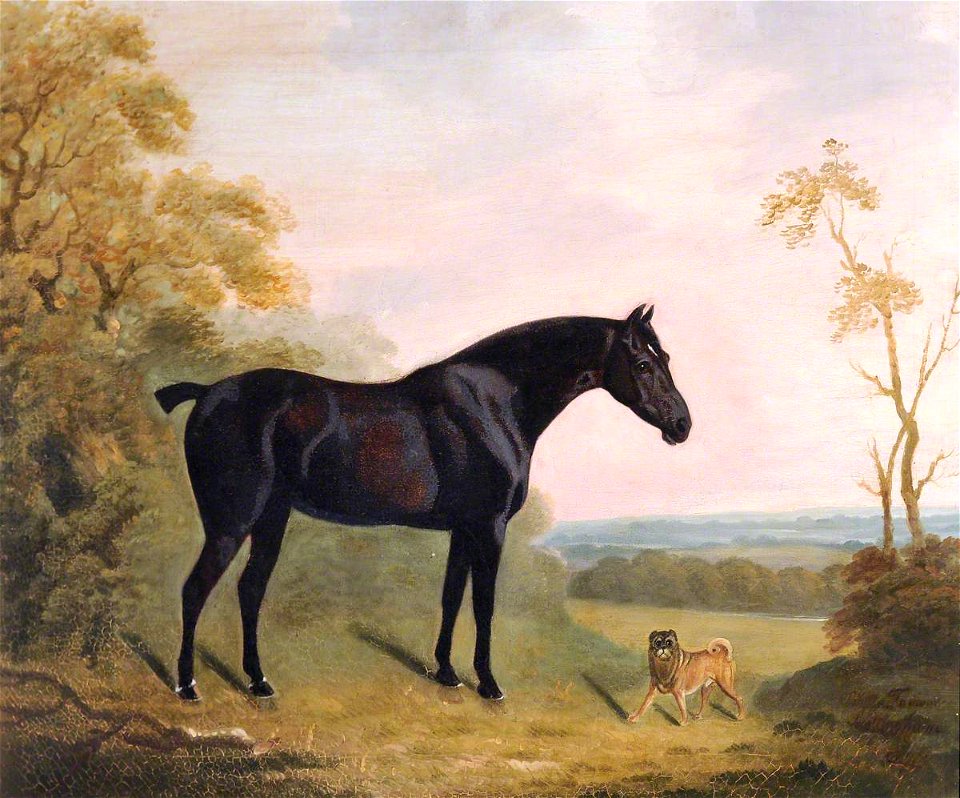 Clifton Tomson (1775-1828) - A Bay Hunter and a Pug Dog in a Landscape - 1196043 - National Trust