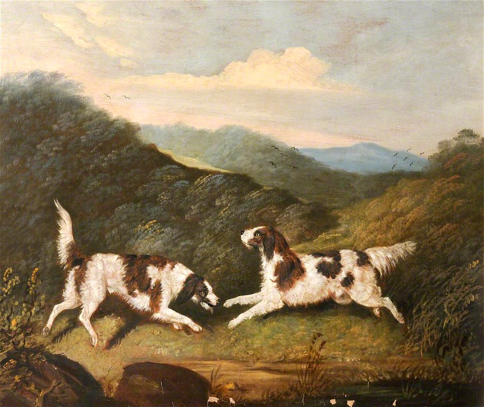 Clifton Tomson (1775-1828) - Two Springer Spaniels in a Landscape - 1196054 - National Trust