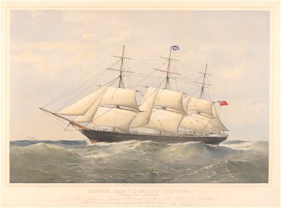 Clipper Ship Coonatto - Messrs Anderson Thomson and Co Owners and Messrs Thos Bilbe and Co Builders RMG PY8564