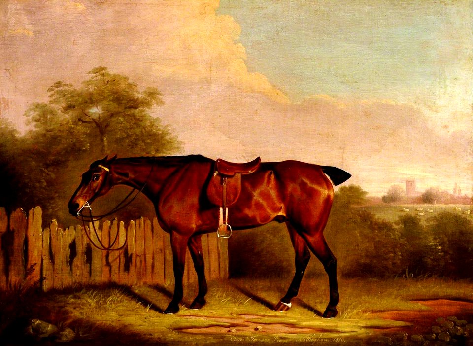 Clifton Tomson (1775-1828) - A Saddled Bay Hunter in a Landscape, beside a Fence - 290259 - National Trust