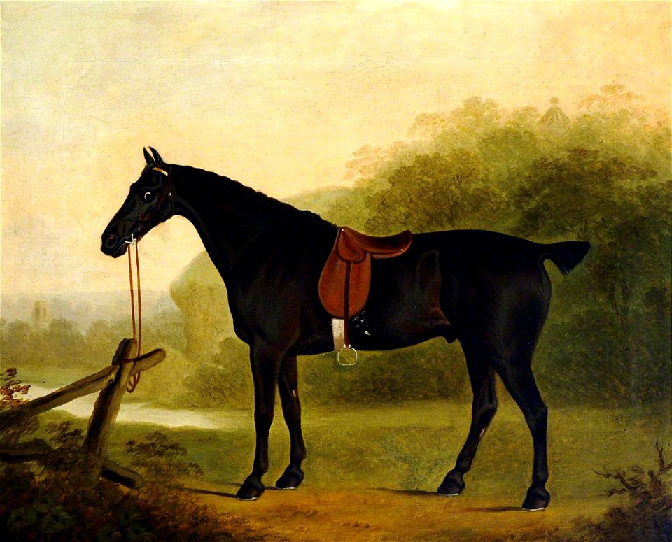 Clifton Tomson (1775-1828) - A Saddled Black Hunter in a Landscape - 290190 - National Trust