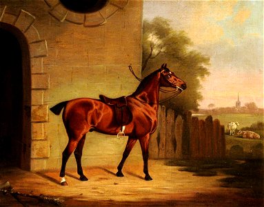 Clifton Tomson (1775-1828) - A Saddled Bay Hunter outside a Stable Entrance - 290266 - National Trust