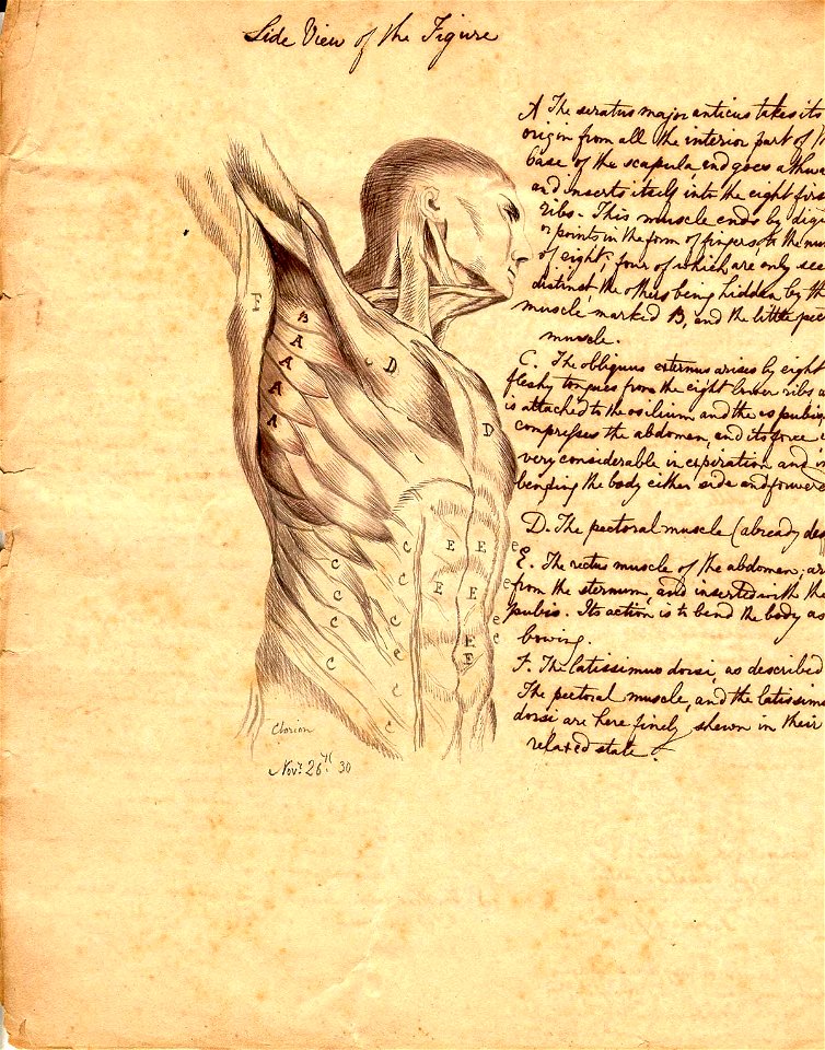 Clorion 22